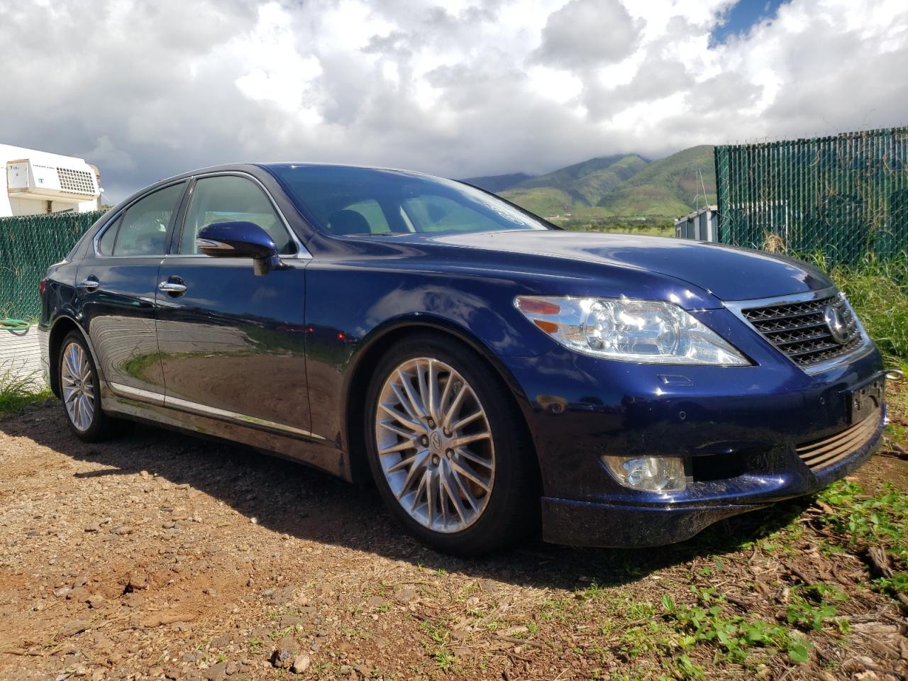 LEXUS LS 460 2010 with VIN JTHBL5EFXA5096569 - Photo from auction