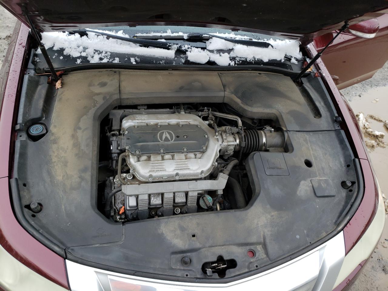 Photo 7 from auction – 2010 ACURA TL with VIN 19UUA8F5XAA005039