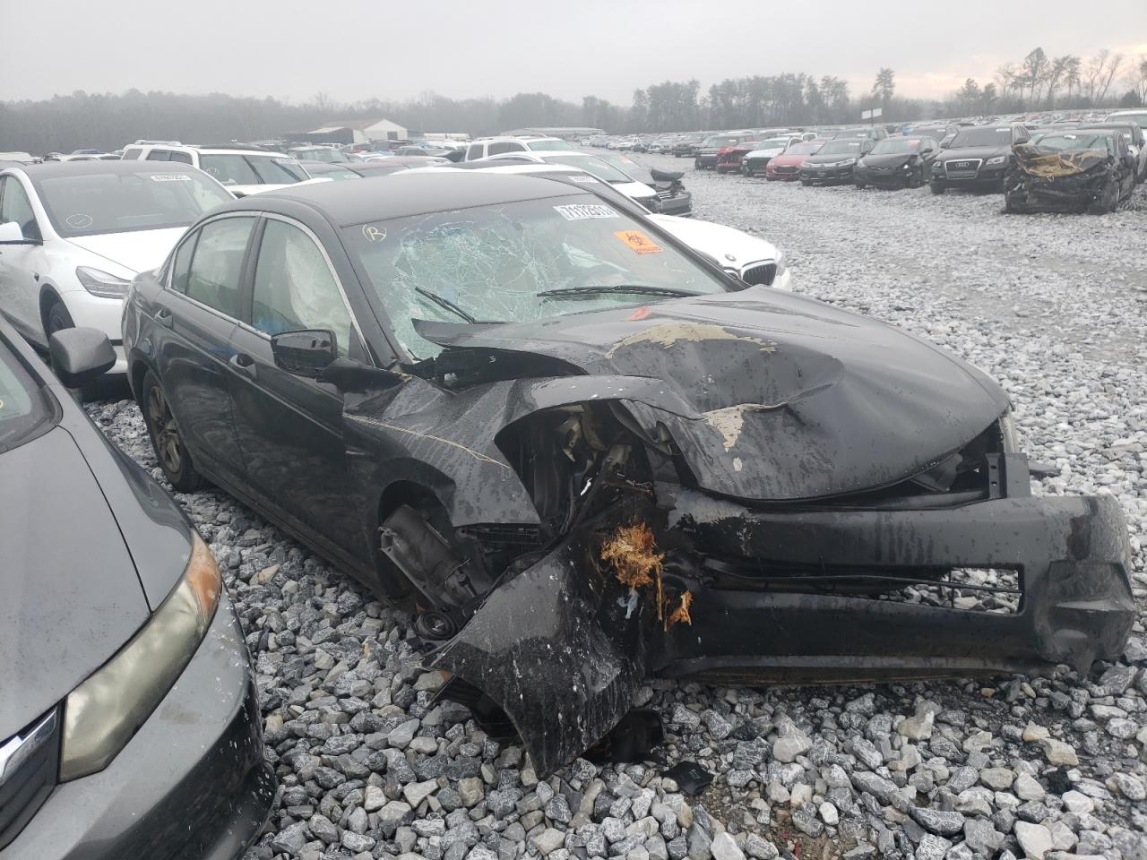 HONDA ACCORD LXP 2010 with VIN 1HGCP2F43AA056834 - Photo from auction