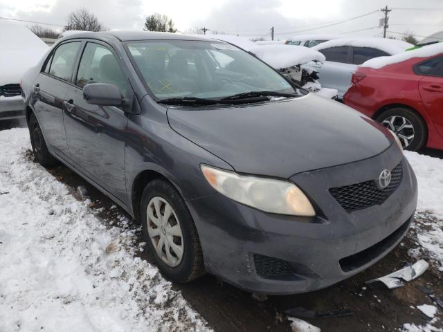 TOYOTA COROLLA BA 2009 with VIN JTDBL40E499049813 - Photo from auction