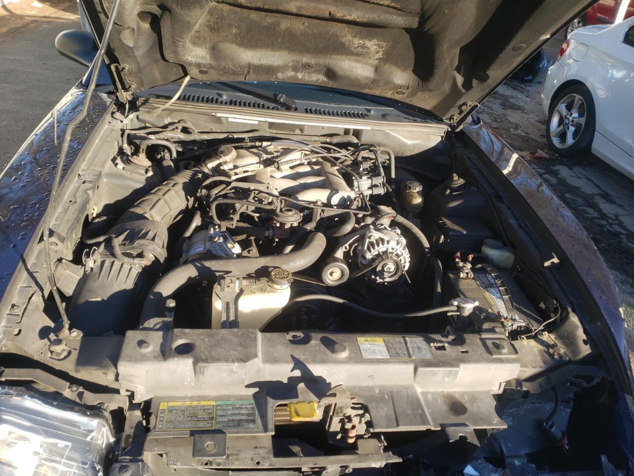 Photo 7 from auction – 2003 FORD MUSTANG with VIN 1FAFP40483F407006