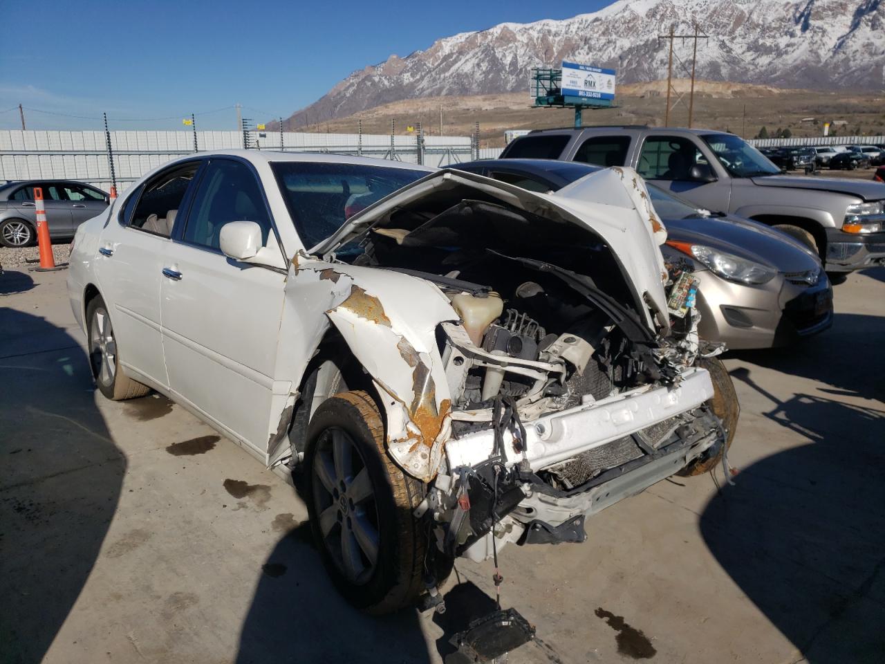 LEXUS ES 330 2006 with VIN JTHBA30G265152425 - Photo from auction