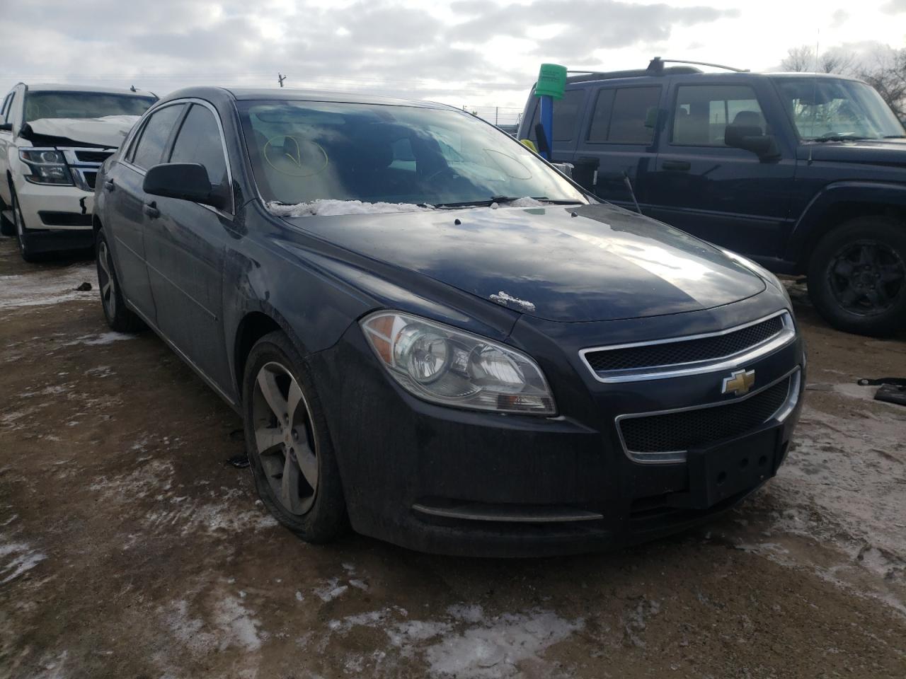 CHEVROLET MALIBU 1LT 2011 with VIN 1G1ZC5E10BF215531 - Photo from auction