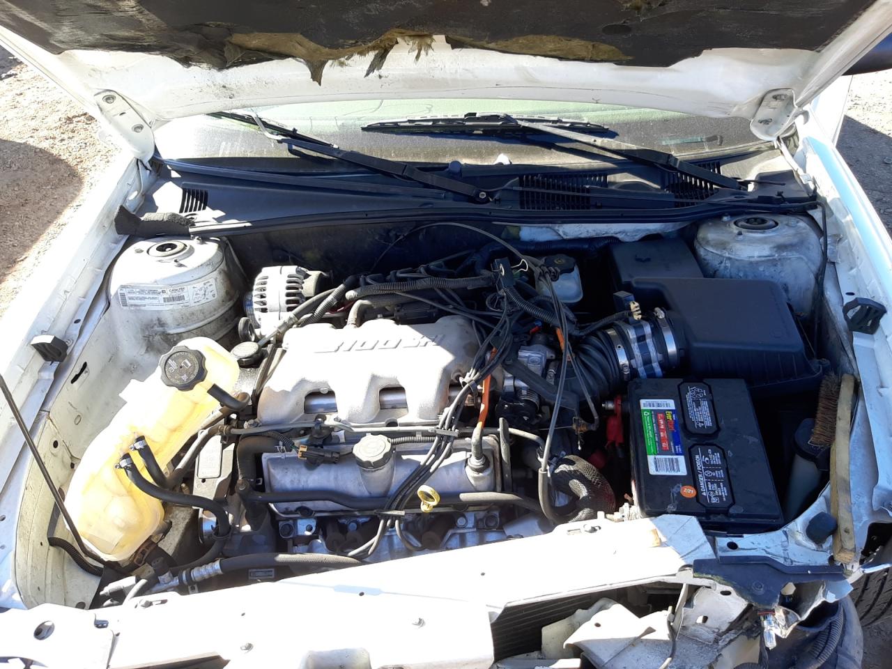 Photo 7 from auction – 2000 CHEVROLET MALIBU with VIN 1G1ND52JXY6120080