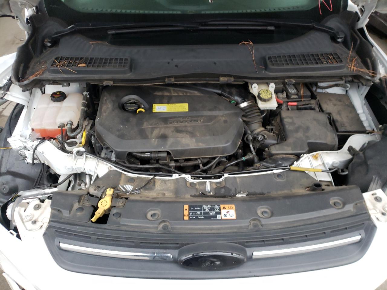 Photo 7 from auction – 2014 FORD ESCAPE SE with VIN 1FMCU0GX8EUC64616