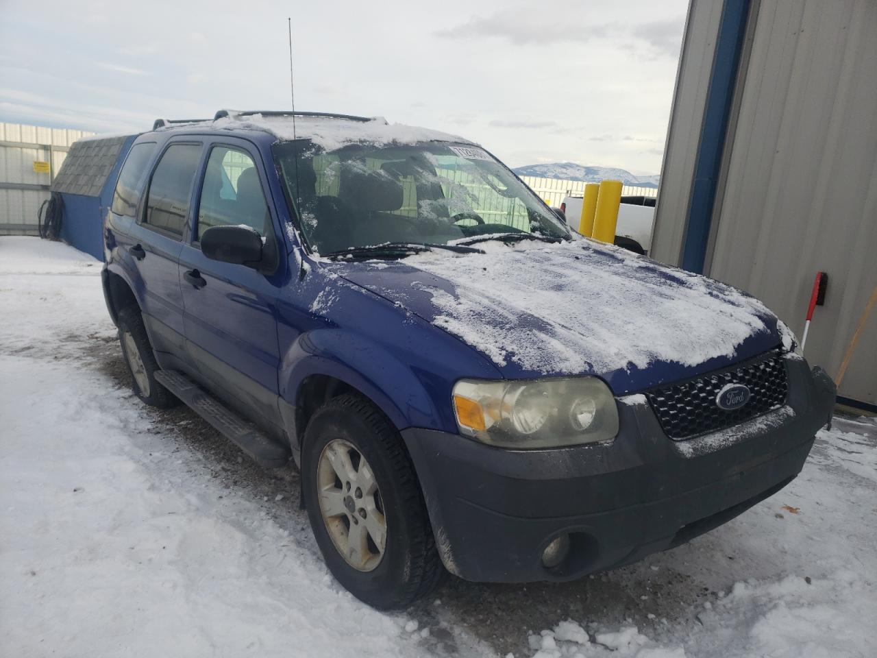 FORD ESCAPE XLT 2005 with VIN 1FMCU93175KC91856 - Photo from auction