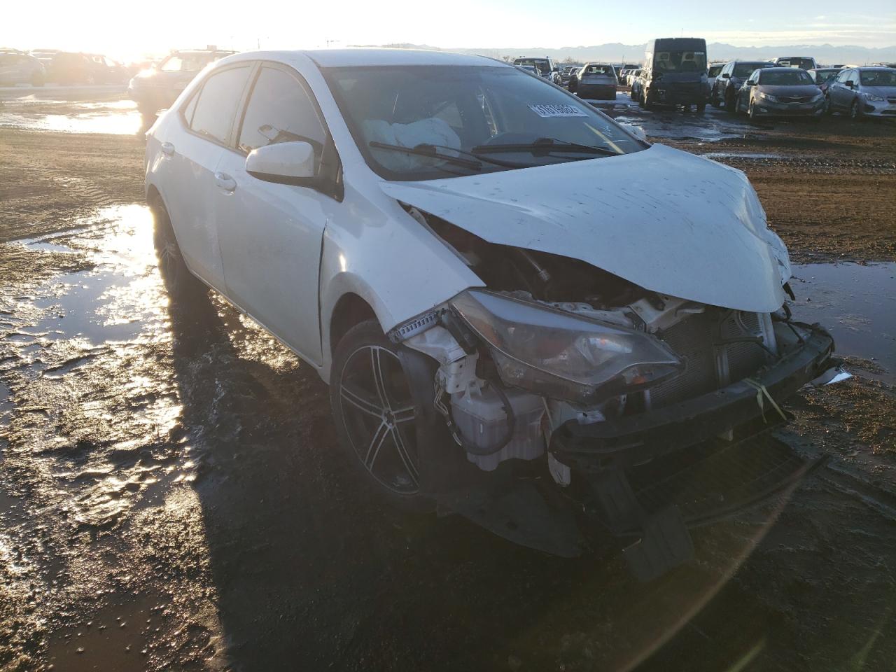 TOYOTA COROLLA L 2014 with VIN 2T1BURHE1EC184878 - Photo from auction