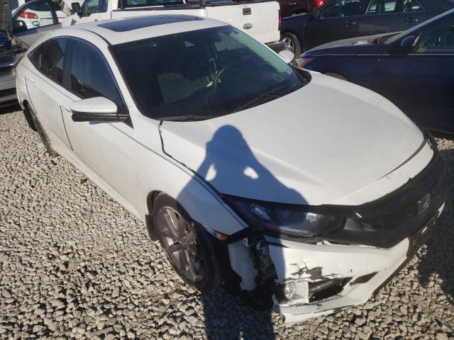 HONDA CIVIC EX 2020 with VIN 19XFC1F37LE207280 - Photo from auction