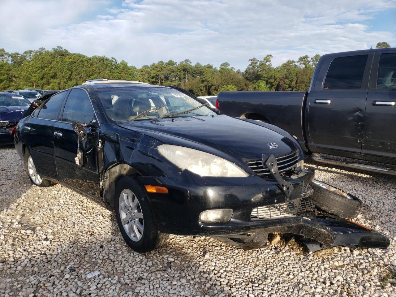 LEXUS ES 300 2002 with VIN JTHBF30GX20061427 - Photo from auction