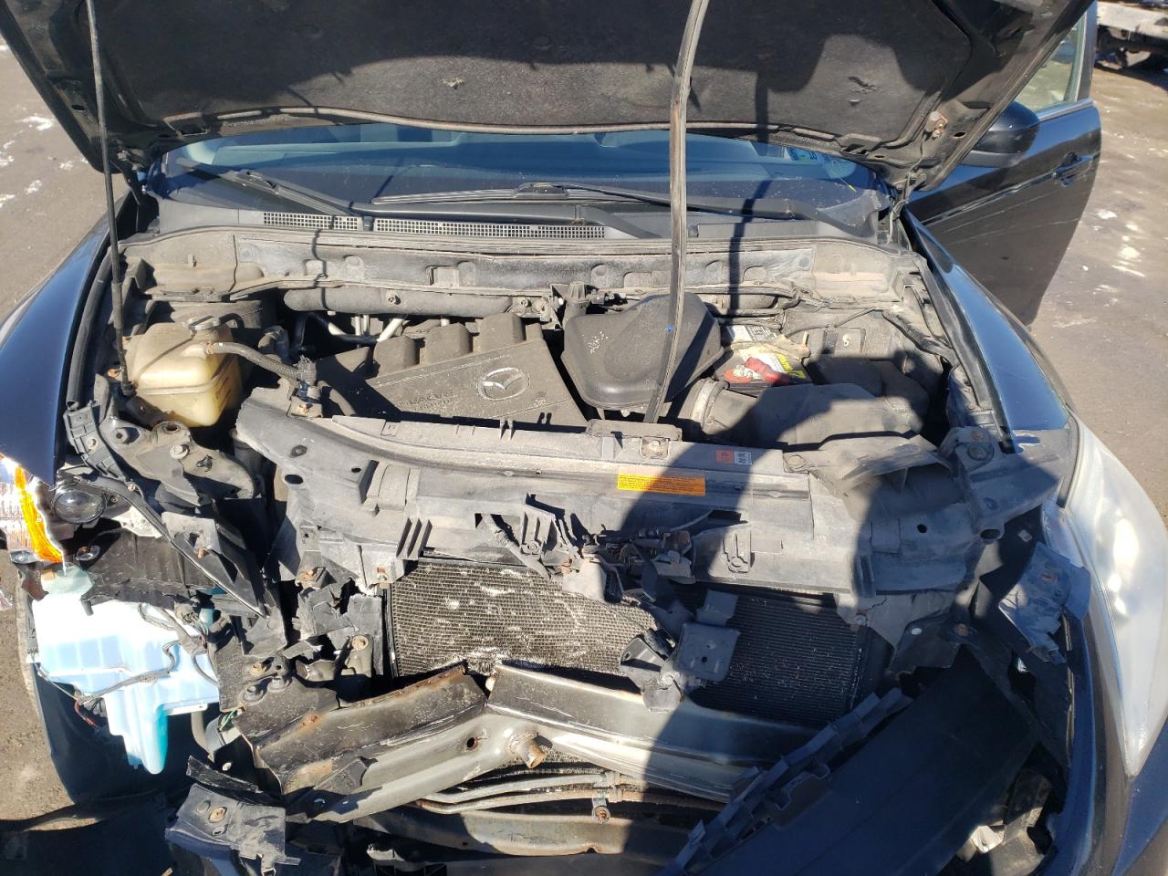 Photo 7 from auction – 2010 MAZDA CX-9 with VIN JM3TB3MV8A0211874