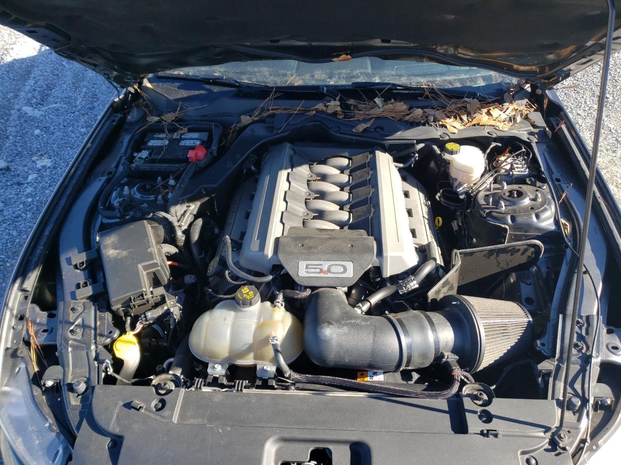 Photo 7 from auction – 2017 FORD MUSTANG GT with VIN 1FA6P8CF0H5244207