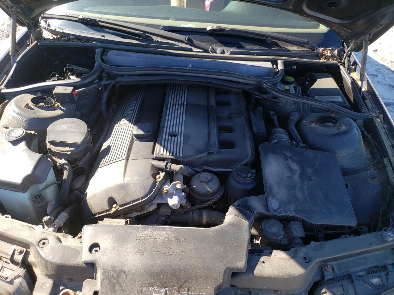 Photo 7 from auction – 2004 BMW 3 SERIES with VIN WBAEU33445PF63206
