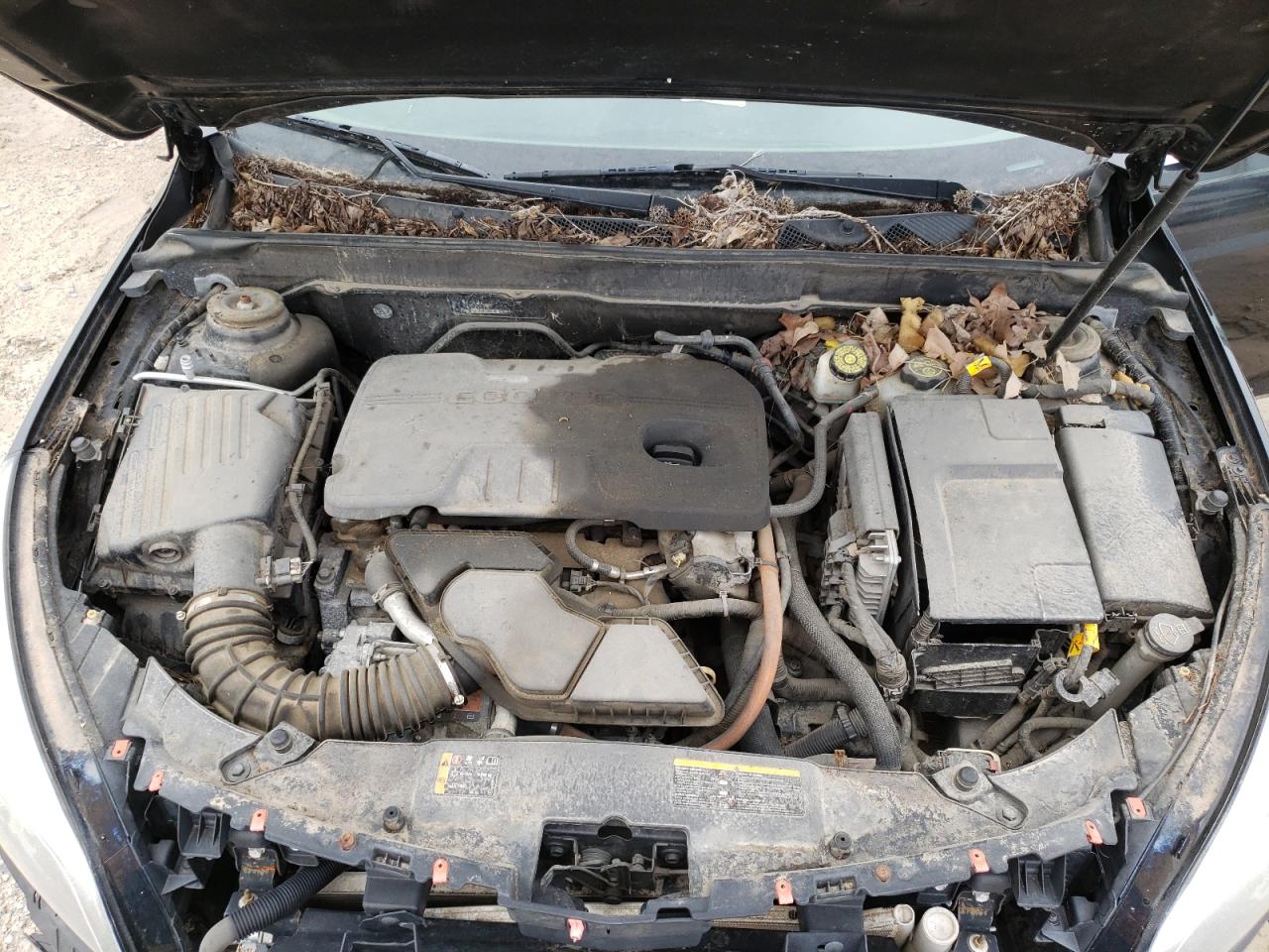 Photo 7 from auction – 2013 CHEVROLET MALIBU 2LT with VIN 1G11F5RR5DF121832
