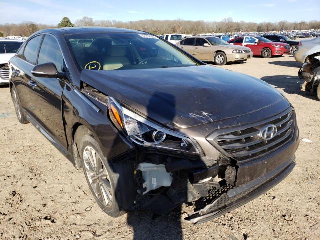 HYUNDAI SONATA SPO 2016 with VIN 5NPE34AF3GH325195 - Photo from auction
