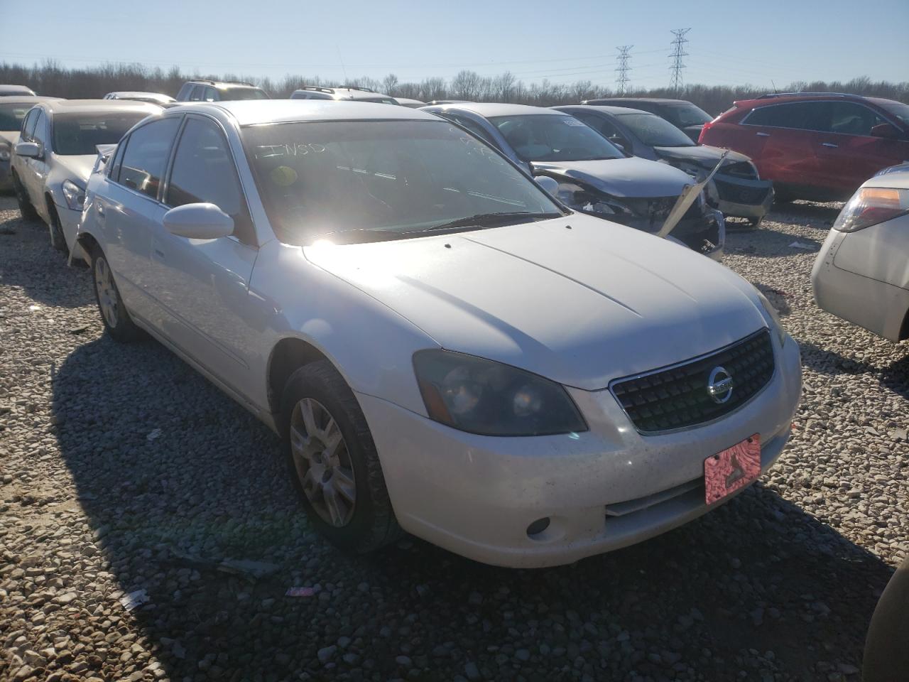 NISSAN ALTIMA S 2005 with VIN 1N4AL11D55C103302 - Photo from auction