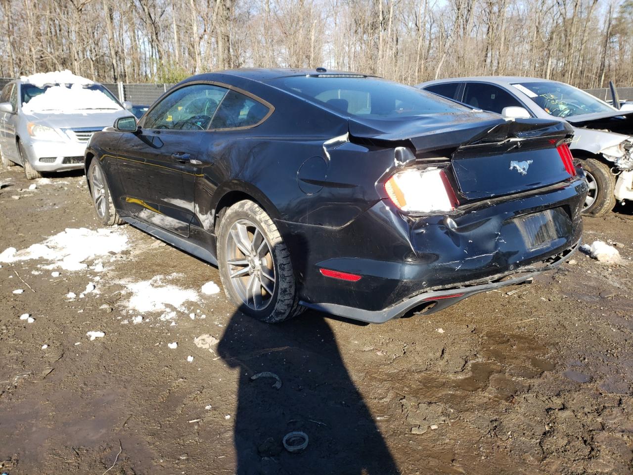 Photo 3 from auction – 2015 FORD MUSTANG with VIN 1FA6P8TH9F5301793