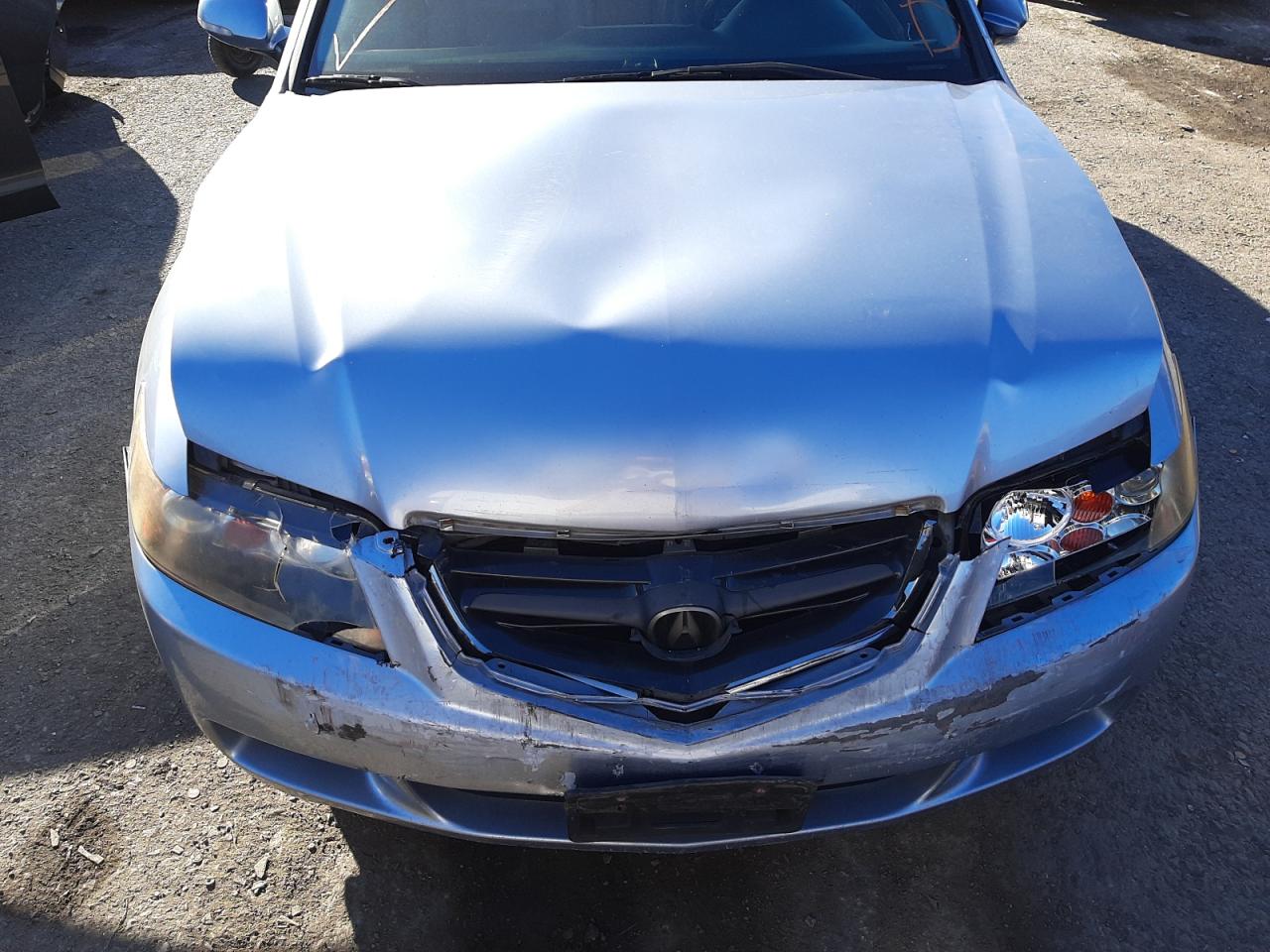 Photo 7 from auction – 2004 ACURA TSX with VIN JH4CL95844C031312
