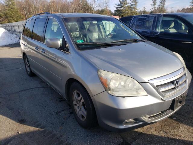 HONDA ODYSSEY EX 2005 with VIN 5FNRL38635B087507 - Photo from auction