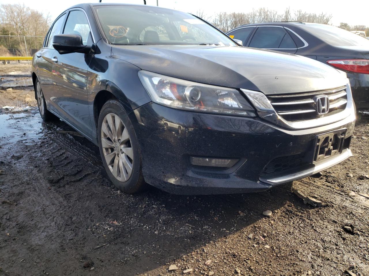 HONDA ACCORD EXL 2015 with VIN 1HGCR3F89FA033486 - Photo from auction