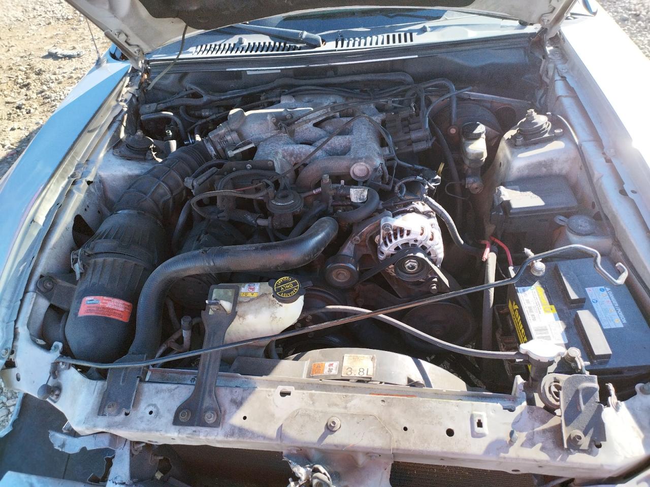Photo 7 from auction – 2003 FORD MUSTANG with VIN 1FAFP40403F341440