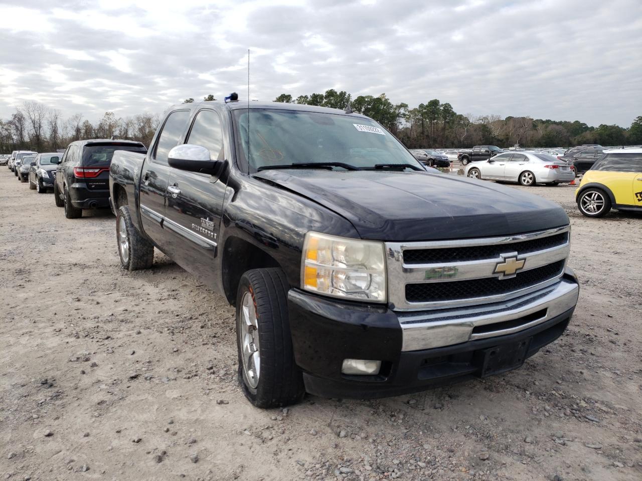CHEVROLET SILVERADO 2009 with VIN 3GCEC23J89G229757 - Photo from auction