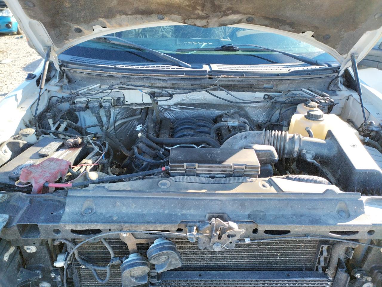 Photo 7 from auction – 2013 FORD F150 SUPER with VIN 1FTFX1EF7DFA16854
