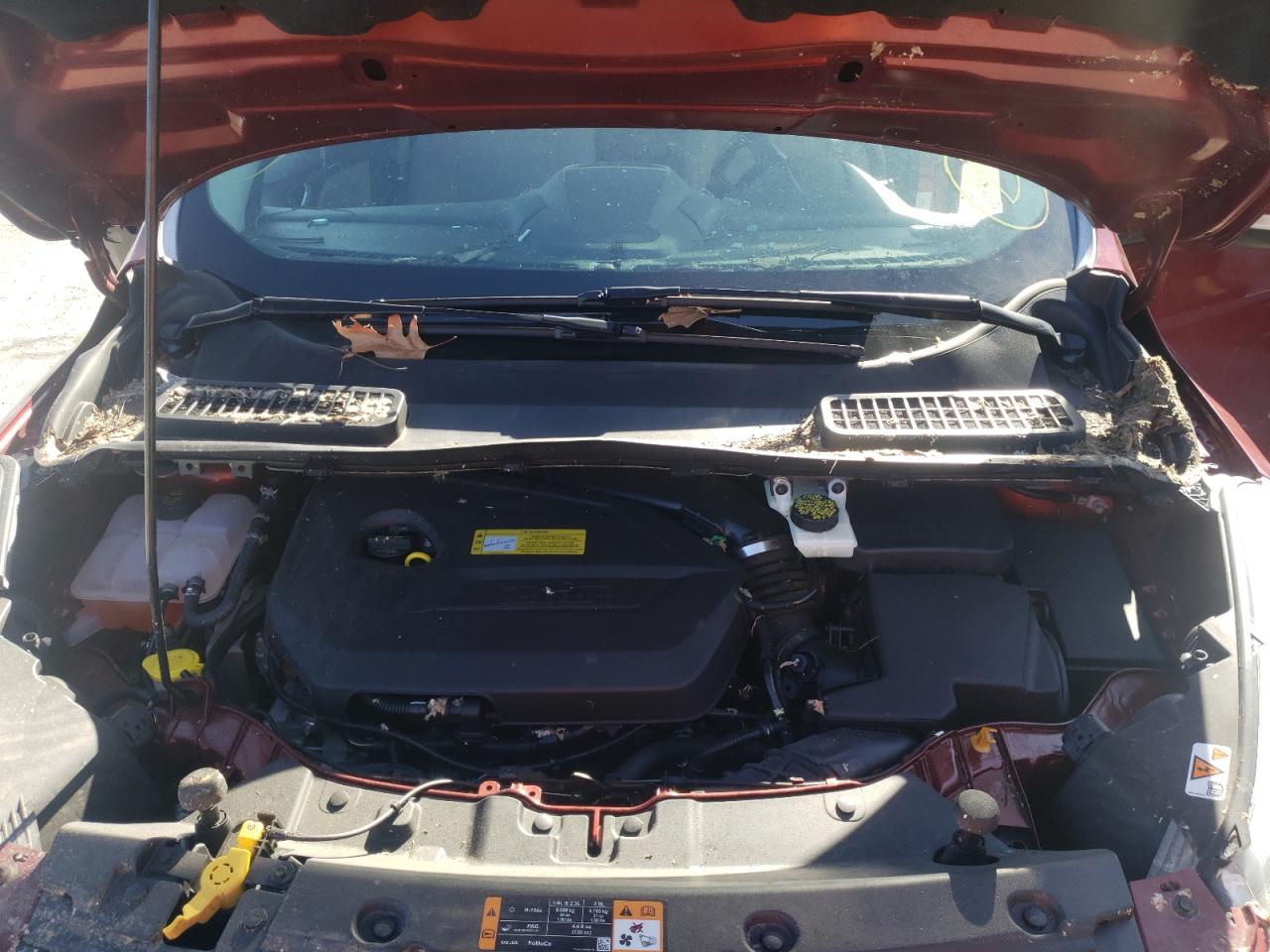 Photo 7 from auction – 2014 FORD ESCAPE TIT with VIN 1FMCU0JX5EUB42773