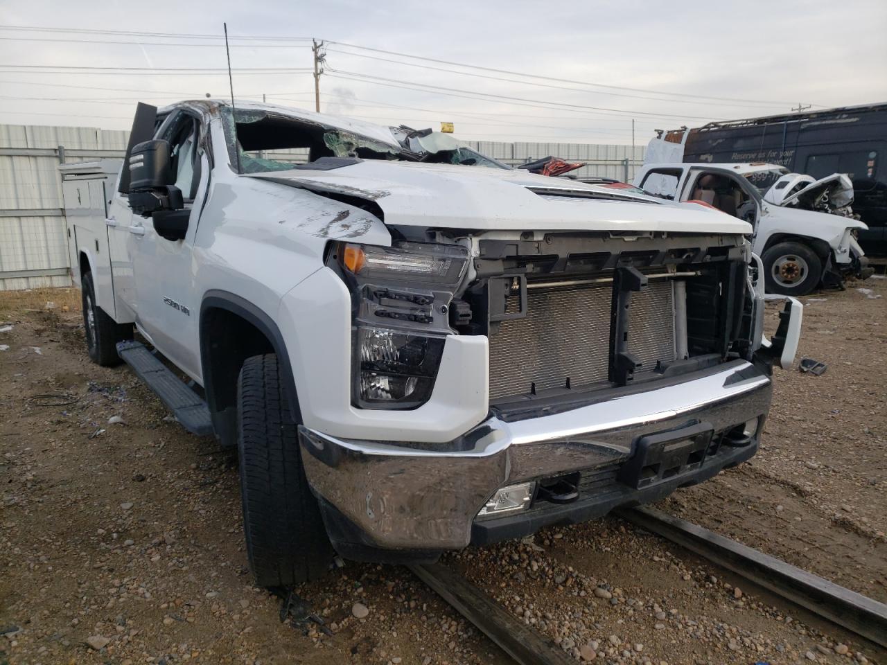CHEVROLET SILVERADO 2020 with VIN 1GC2YNE70LF226562 - Photo from auction