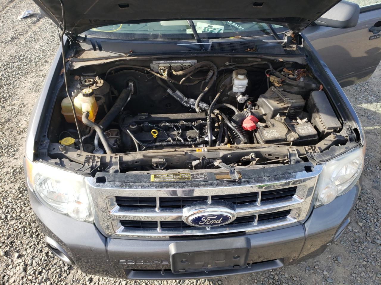 Photo 7 from auction – 2010 FORD ESCAPE XLT with VIN 1FMCU0D75AKD07674