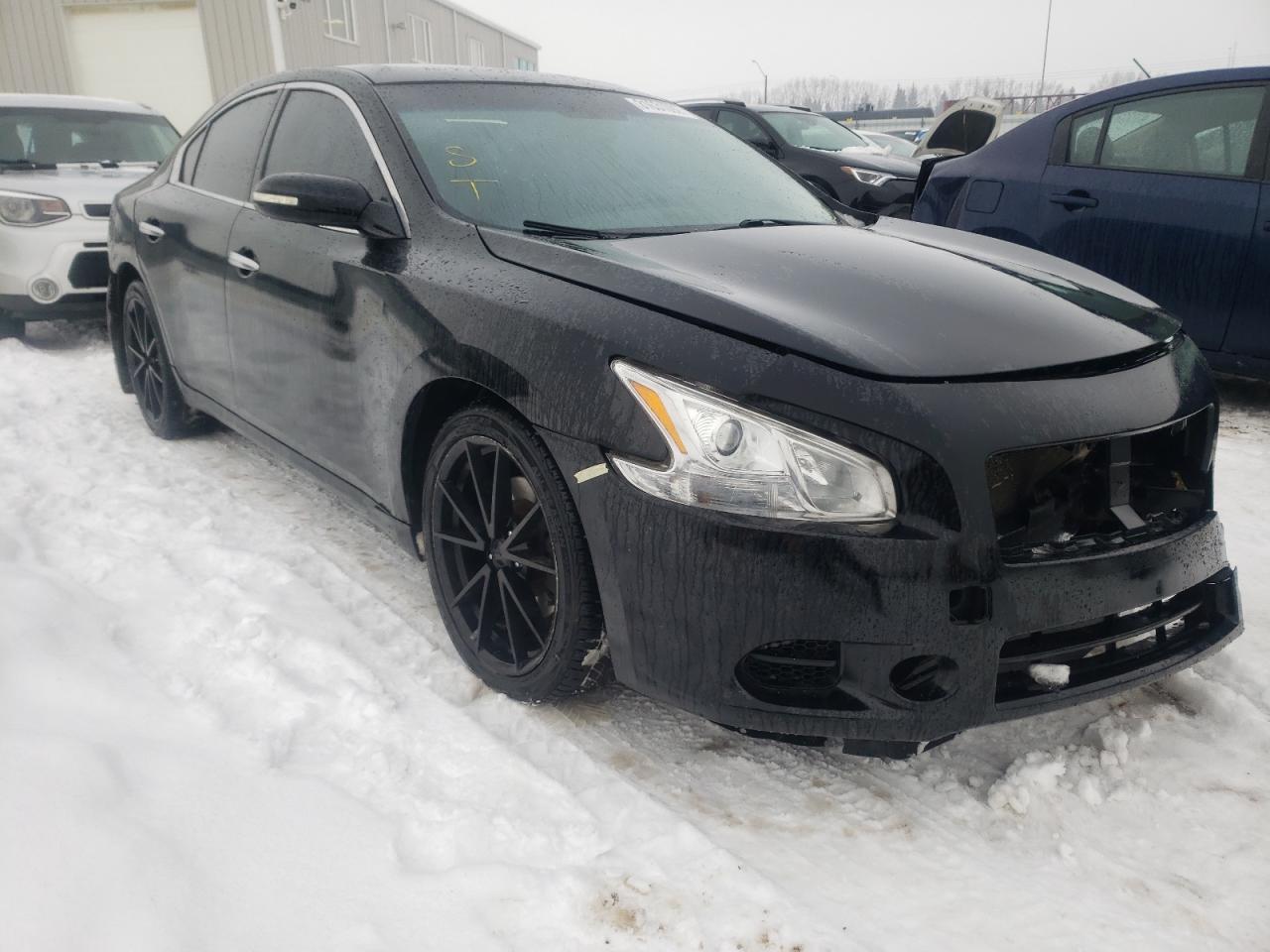 NISSAN MAXIMA S 2009 with VIN 1N4AA51E79C812115 - Photo from auction