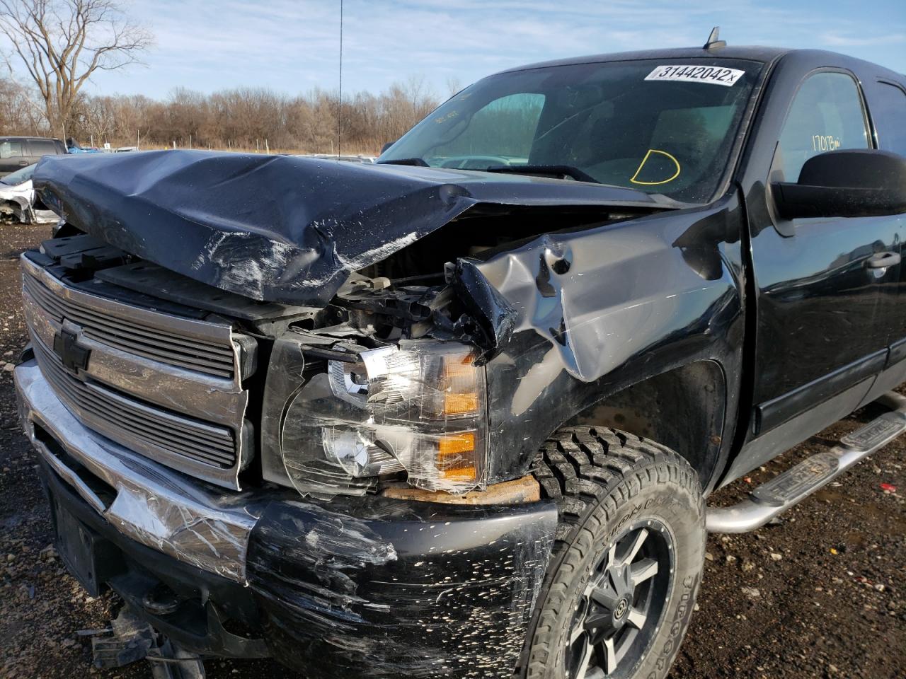 Photo 9 from auction – 2009 CHEVROLET SILVERADO with VIN 1GCEK29019Z278879