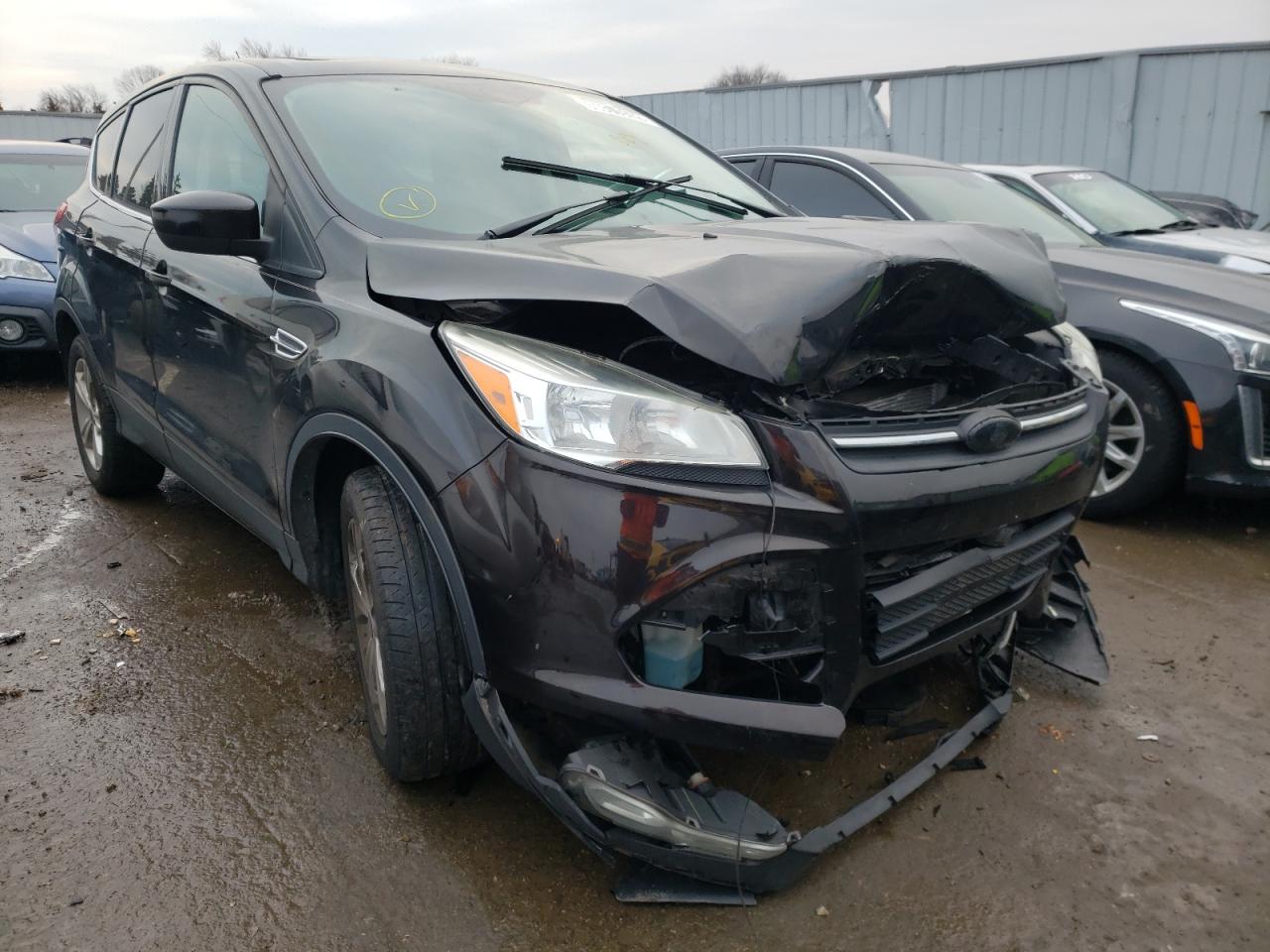 Photo 1 from auction – 2013 FORD ESCAPE SE with VIN 1FMCU9GX9DUB78945