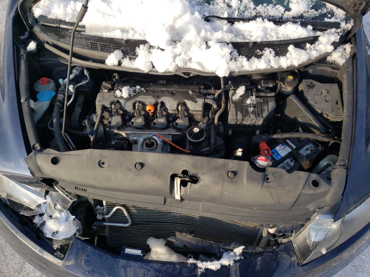 Photo 7 from auction – 2010 HONDA CIVIC with VIN 19XFA1F57AE068918