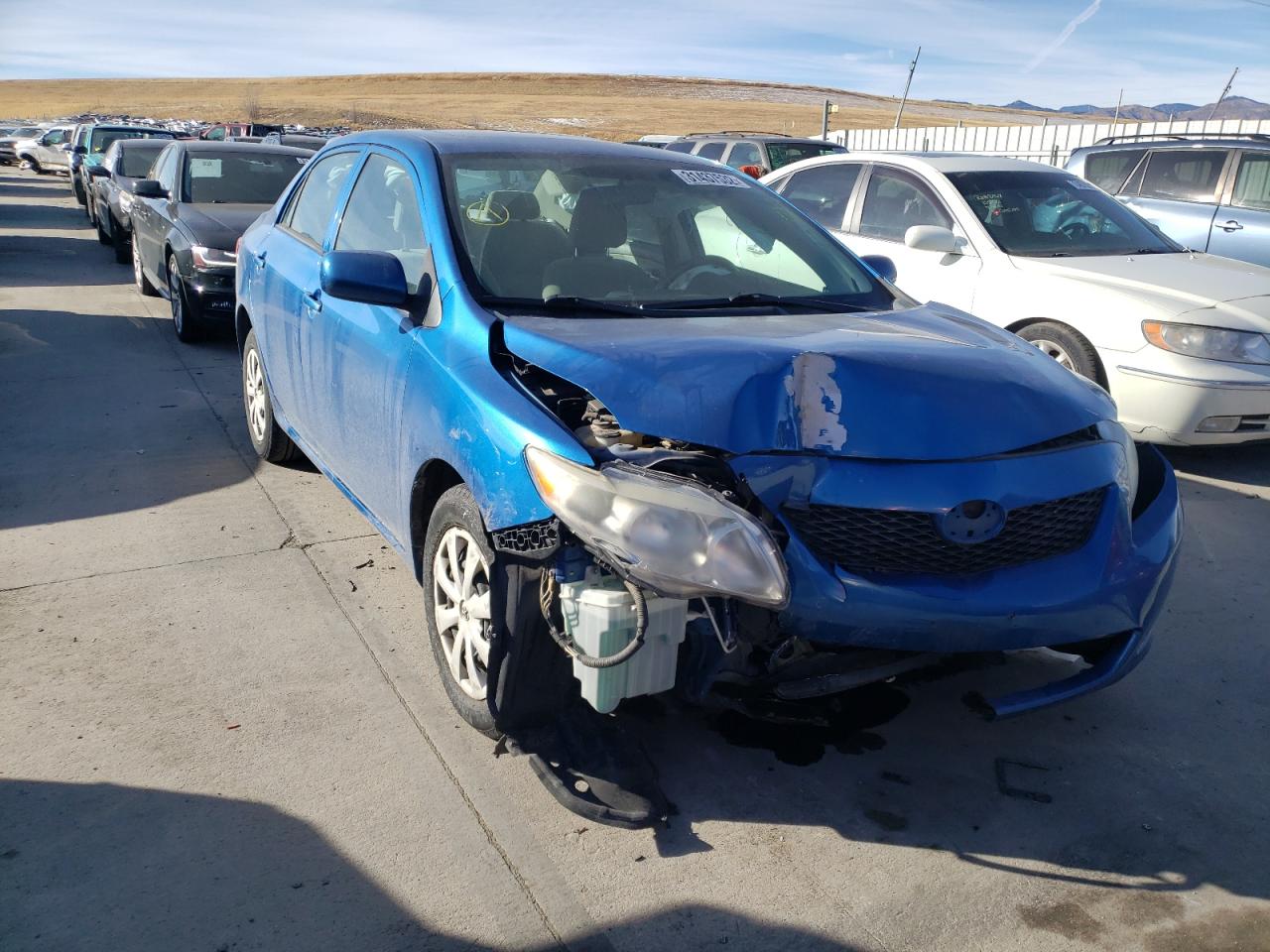TOYOTA COROLLA BA 2010 with VIN 2T1BU4EE7AC416482 - Photo from auction
