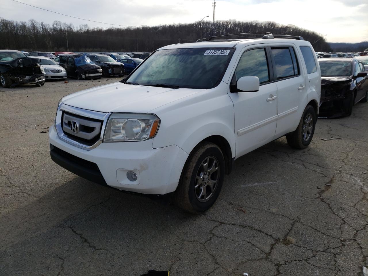Photo 2 from auction – 2009 HONDA PILOT EXL with VIN 5FNYF48699B019341