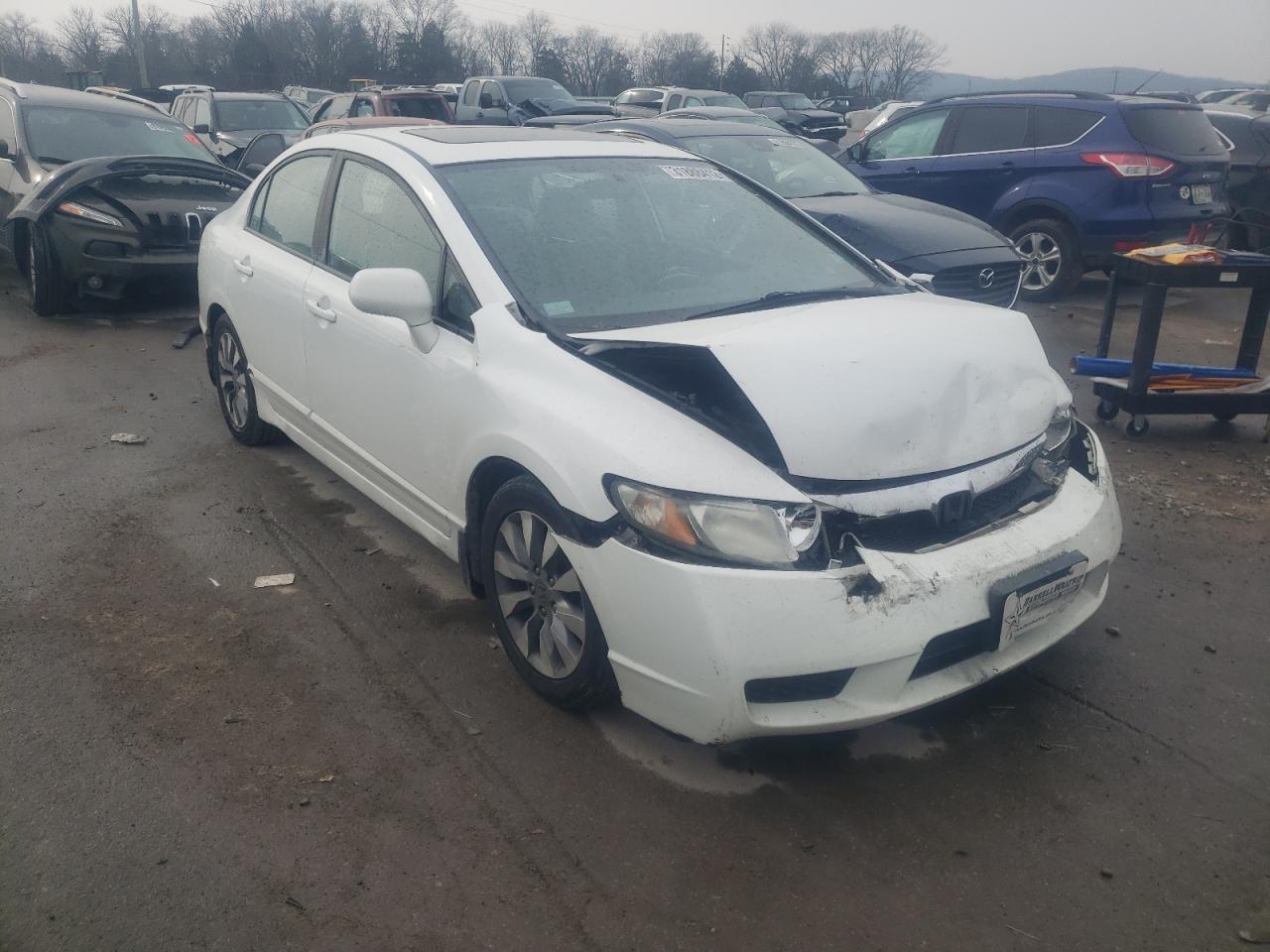 HONDA CIVIC EX 2011 with VIN 19XFA1F89BE021949 - Photo from auction