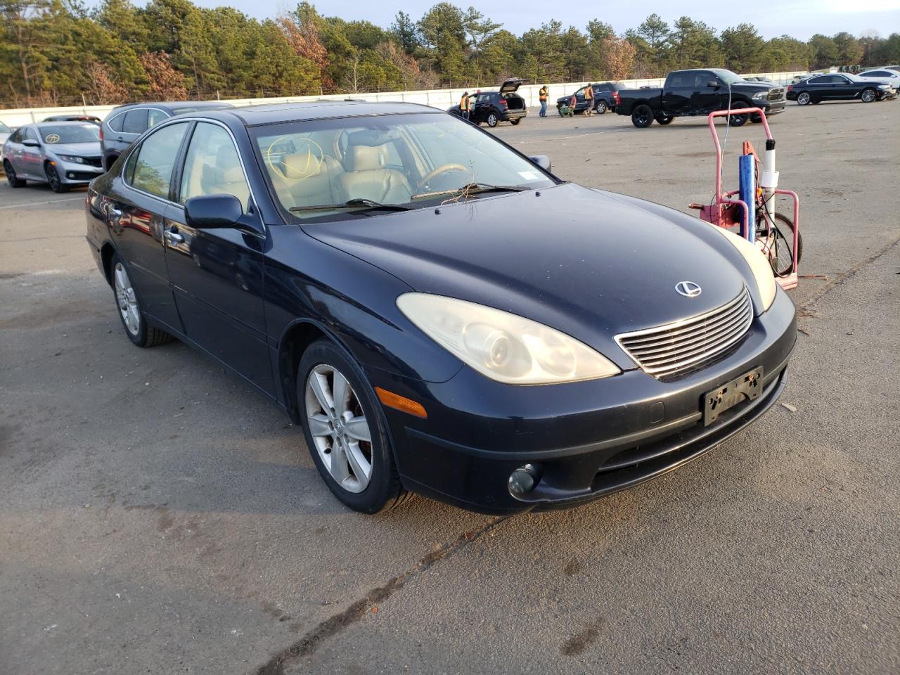 LEXUS ES 330 2006 with VIN JTHBA30G465172725 - Photo from auction