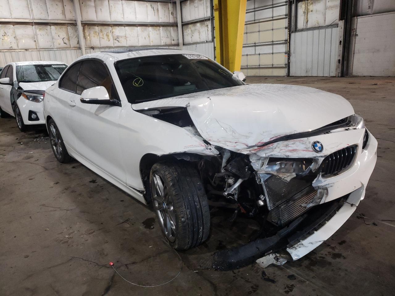 BMW 228 I 2016 with VIN WBA1F5C52GV343748 - Photo from auction