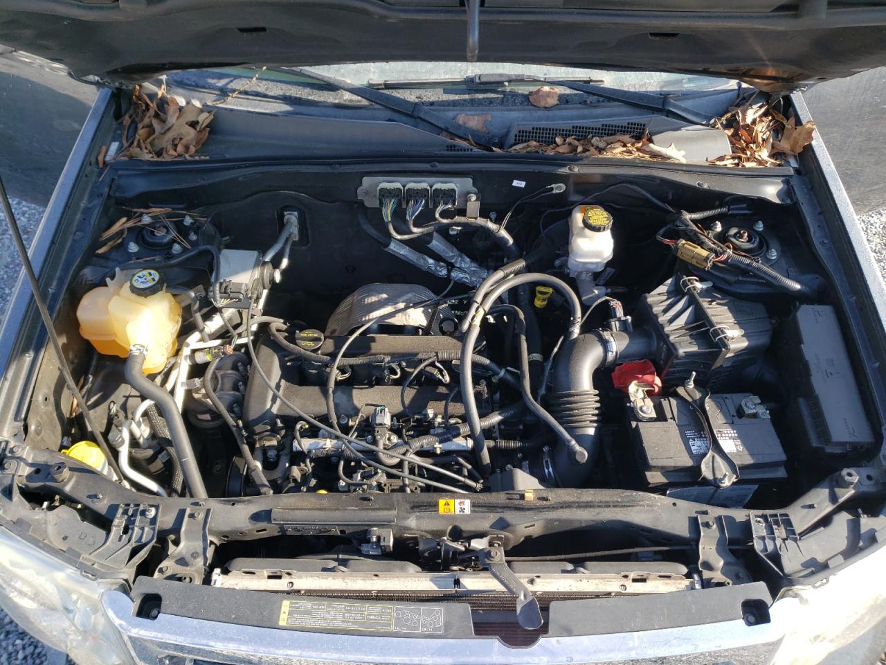 Photo 7 from auction – 2008 FORD ESCAPE XLS with VIN 1FMCU02Z88KE60533