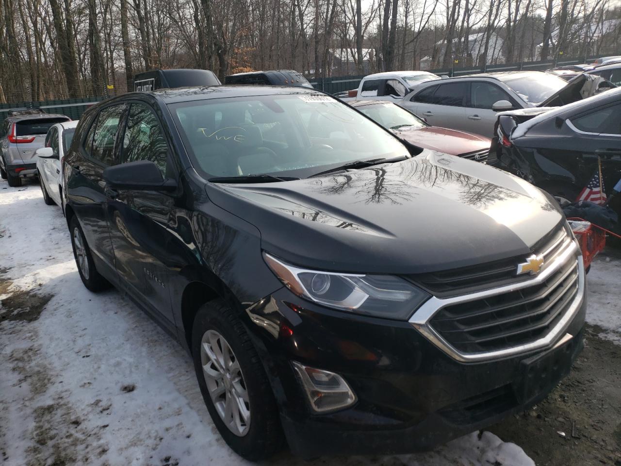 CHEVROLET EQUINOX LS 2018 with VIN 2GNAXREVXJ6149752 - Photo from auction