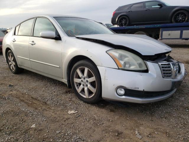 NISSAN MAXIMA SE 2006 with VIN 1N4BA41E96C865392 - Photo from auction