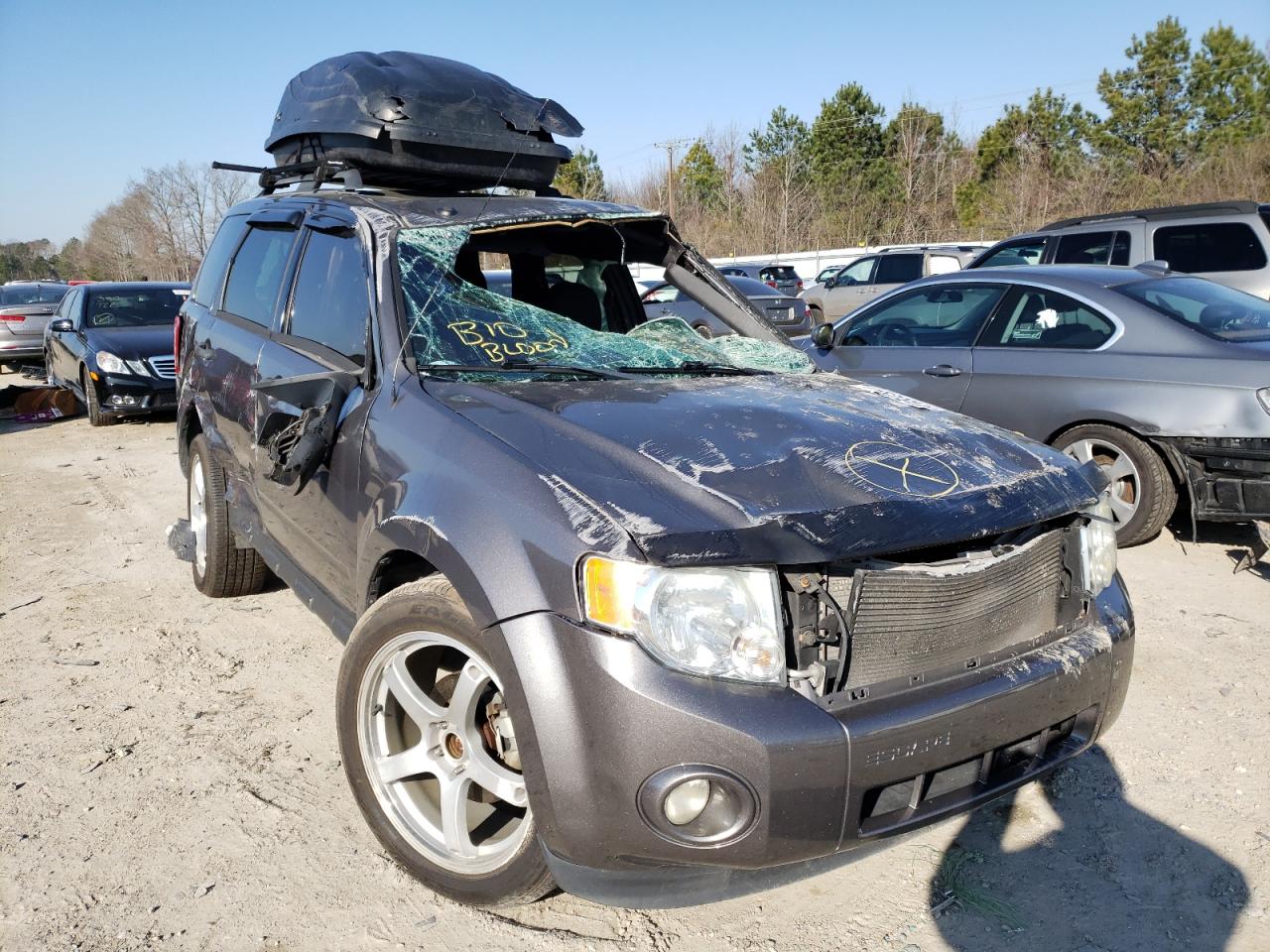 FORD ESCAPE XLT 2011 with VIN 1FMCU0D73BKB51183 - Photo from auction