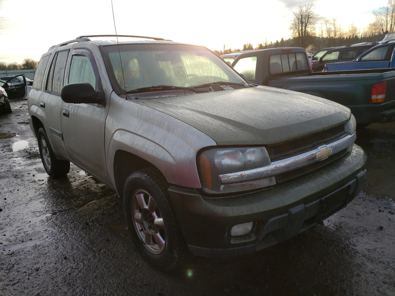CHEVROLET TRAILBLAZE 2002 with VIN 1GNDT13S522132214 - Photo from auction