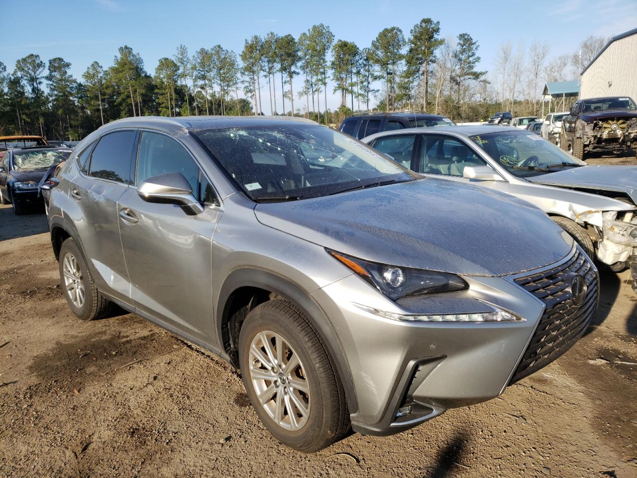 LEXUS NX 300 2020 with VIN JTJDARBZ4L5003406 - Photo from auction