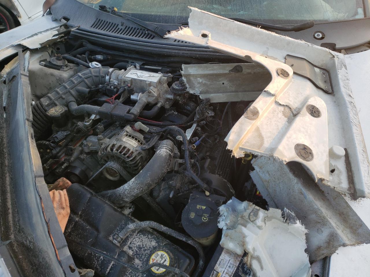 Photo 7 from auction – 2003 FORD MUSTANG GT with VIN 1FAFP42X83F356632