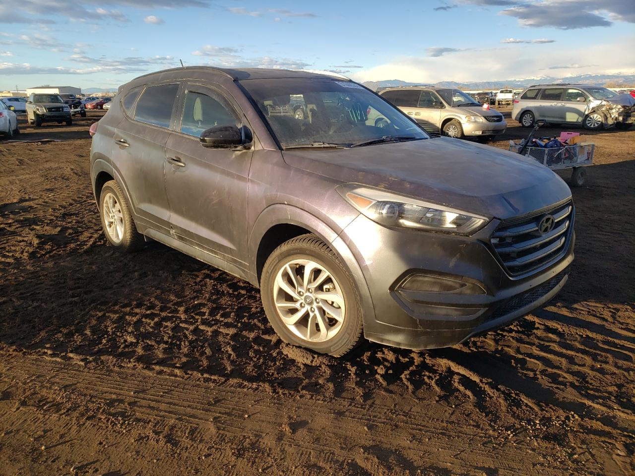 HYUNDAI TUCSON LIM 2017 with VIN KM8J33A47HU453224 - Photo from auction