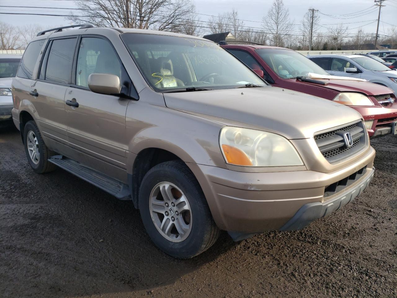 HONDA PILOT EXL 2004 with VIN 2HKYF18524H604519 - Photo from auction
