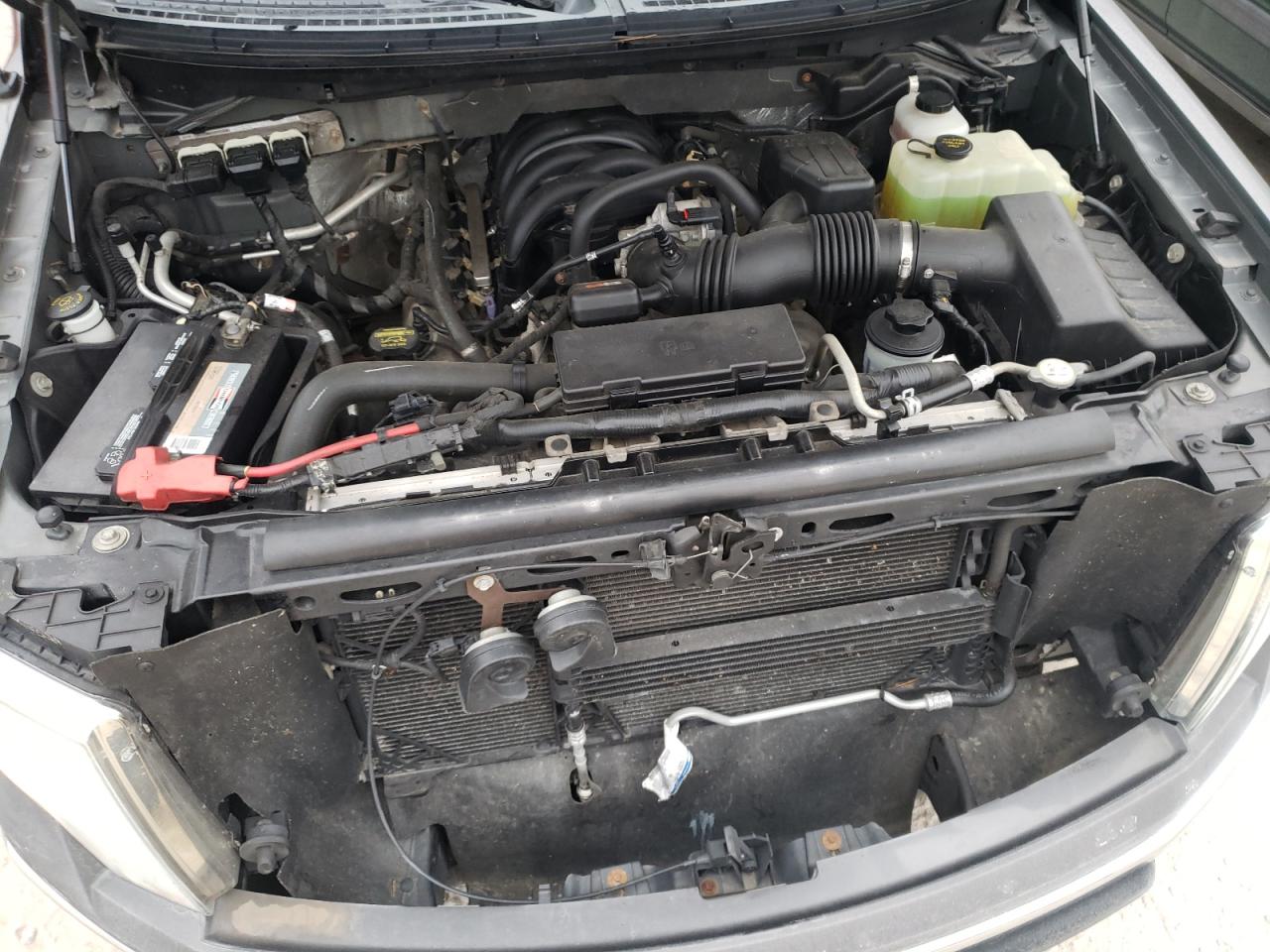 Photo 7 from auction – 2010 FORD F150 SUPER with VIN 1FTEX1E89AFC83115