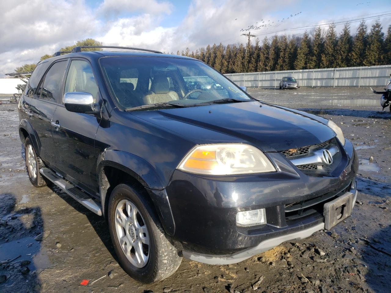 ACURA MDX 2004 with VIN 2HNYD18664H559974 - Photo from auction