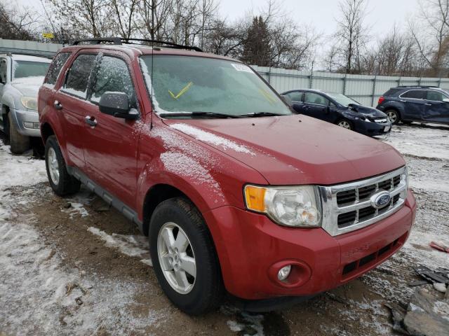 FORD ESCAPE 2010 with VIN 1FMCU0DG1AKA53736 - Photo from auction